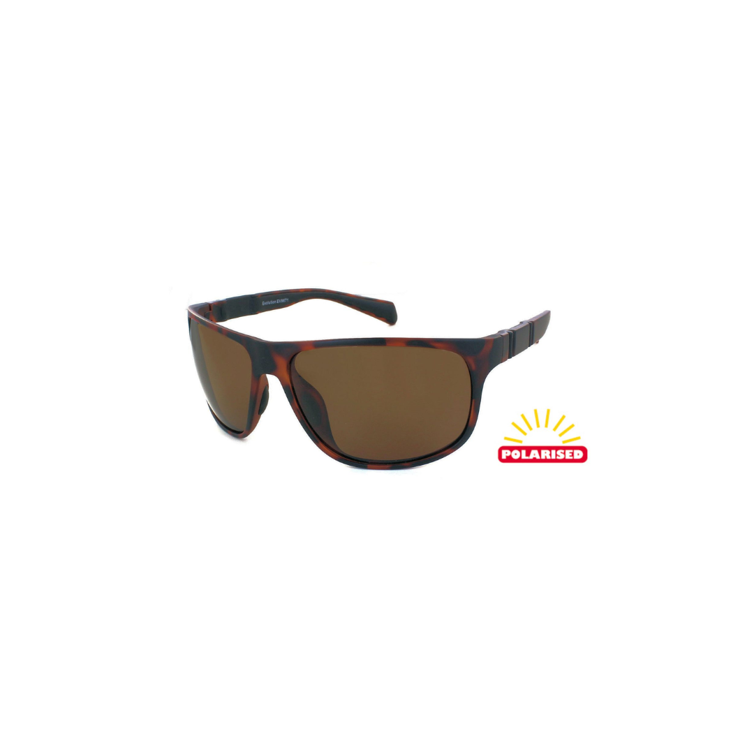 Evolution Sunglasses Coast Tortoise