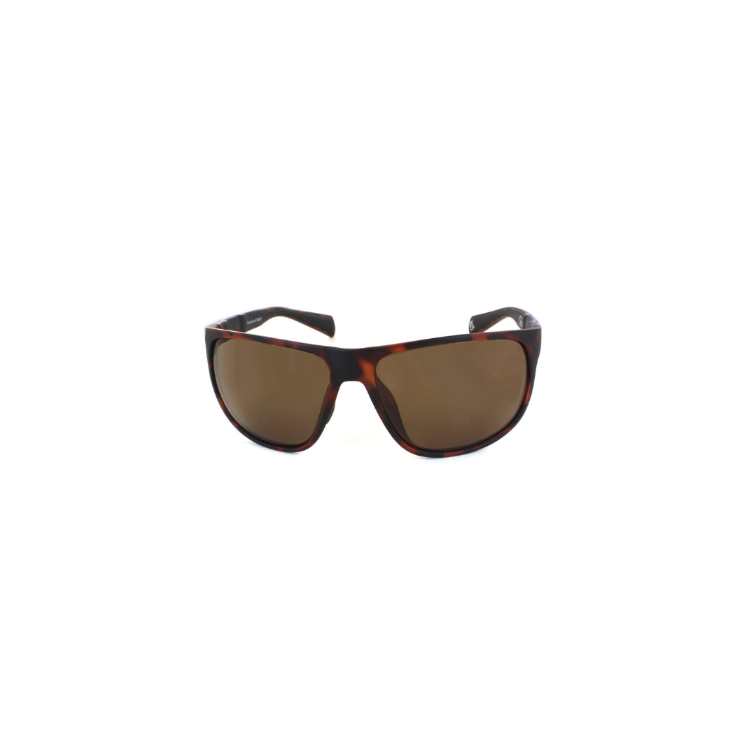 Evolution Sunglasses Coast Tortoise