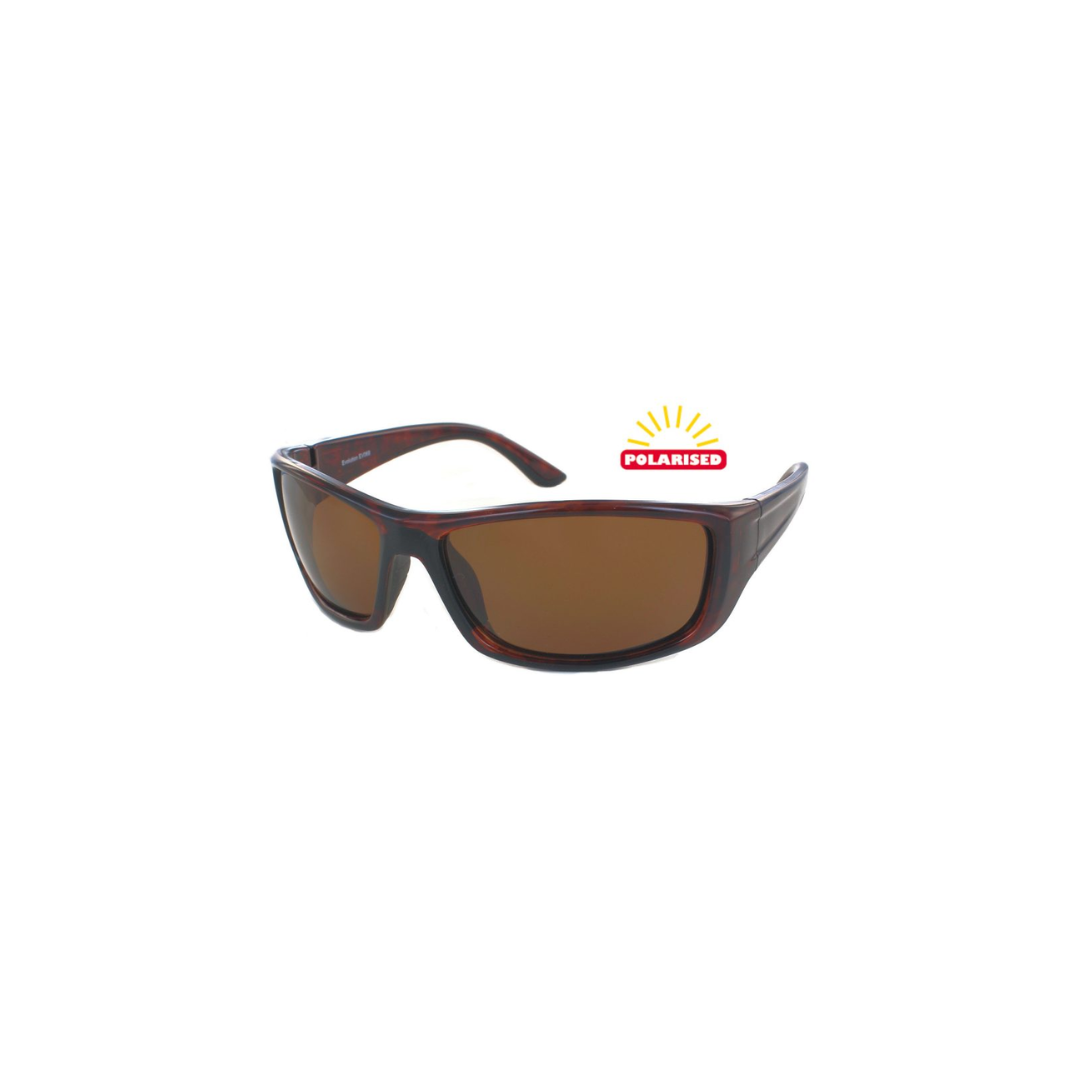Evolution Sunglasses Rockport Tortoise
