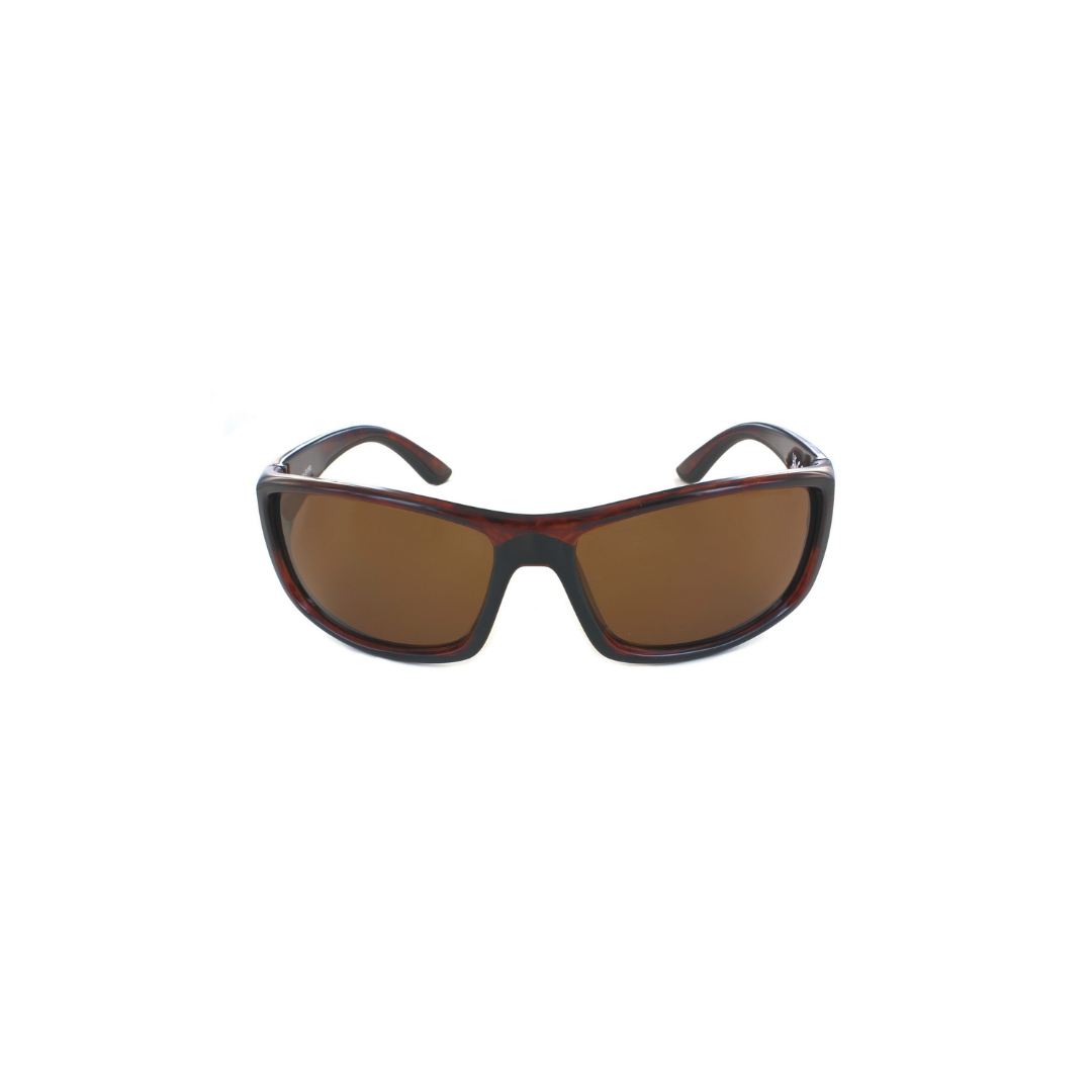Evolution Sunglasses Rockport Tortoise