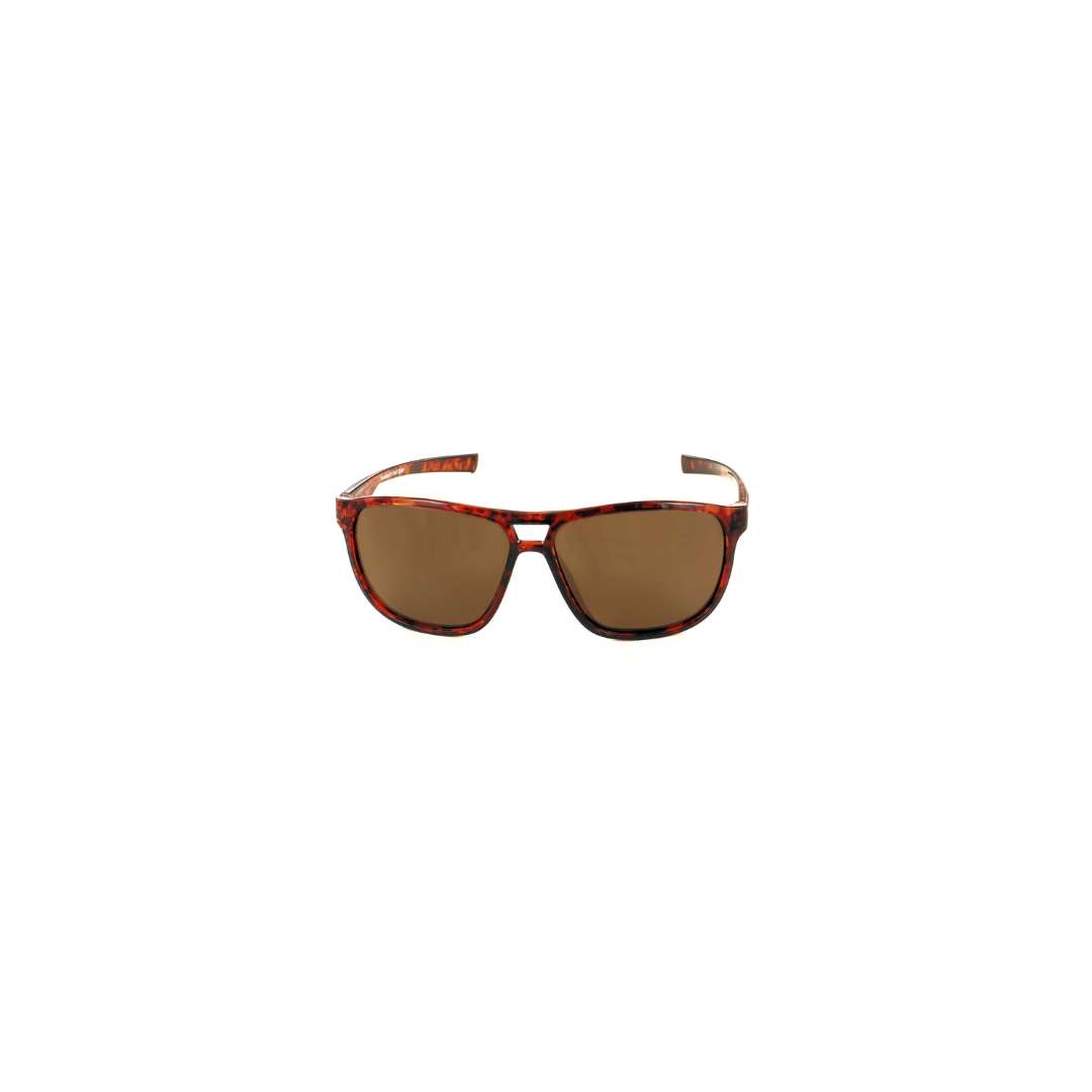 Evolution Sunglasses Bayport Tortoise