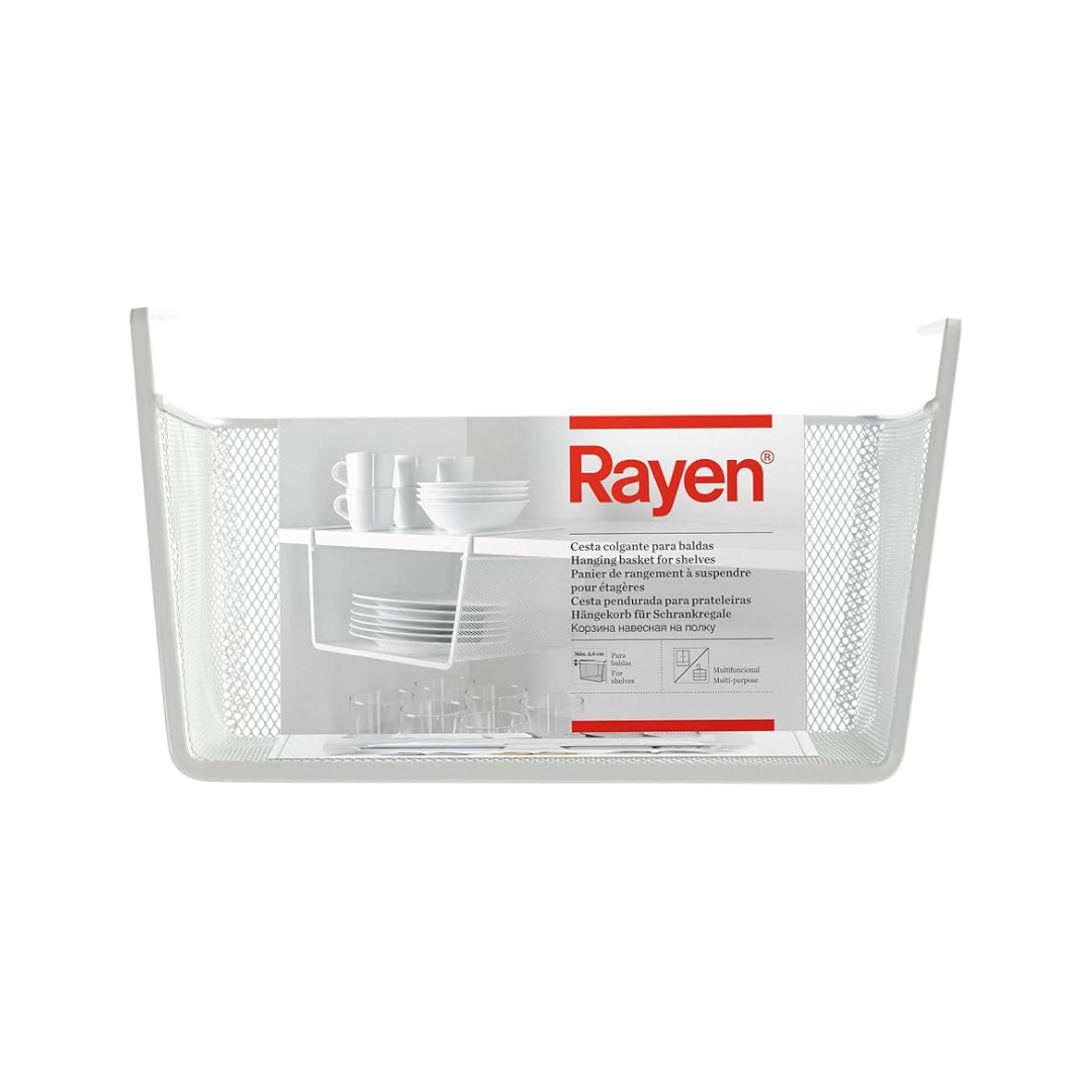 Rayen Hanging Basket